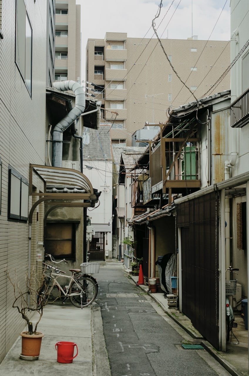 Фото 239 из альбома Kyoto 2024