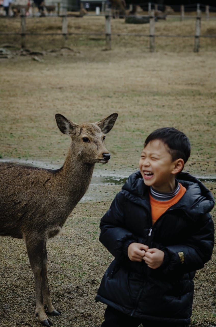 Фото 3 из альбома Nara 2024