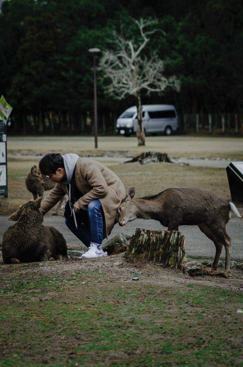 Фото 11 из альбома Nara 2024