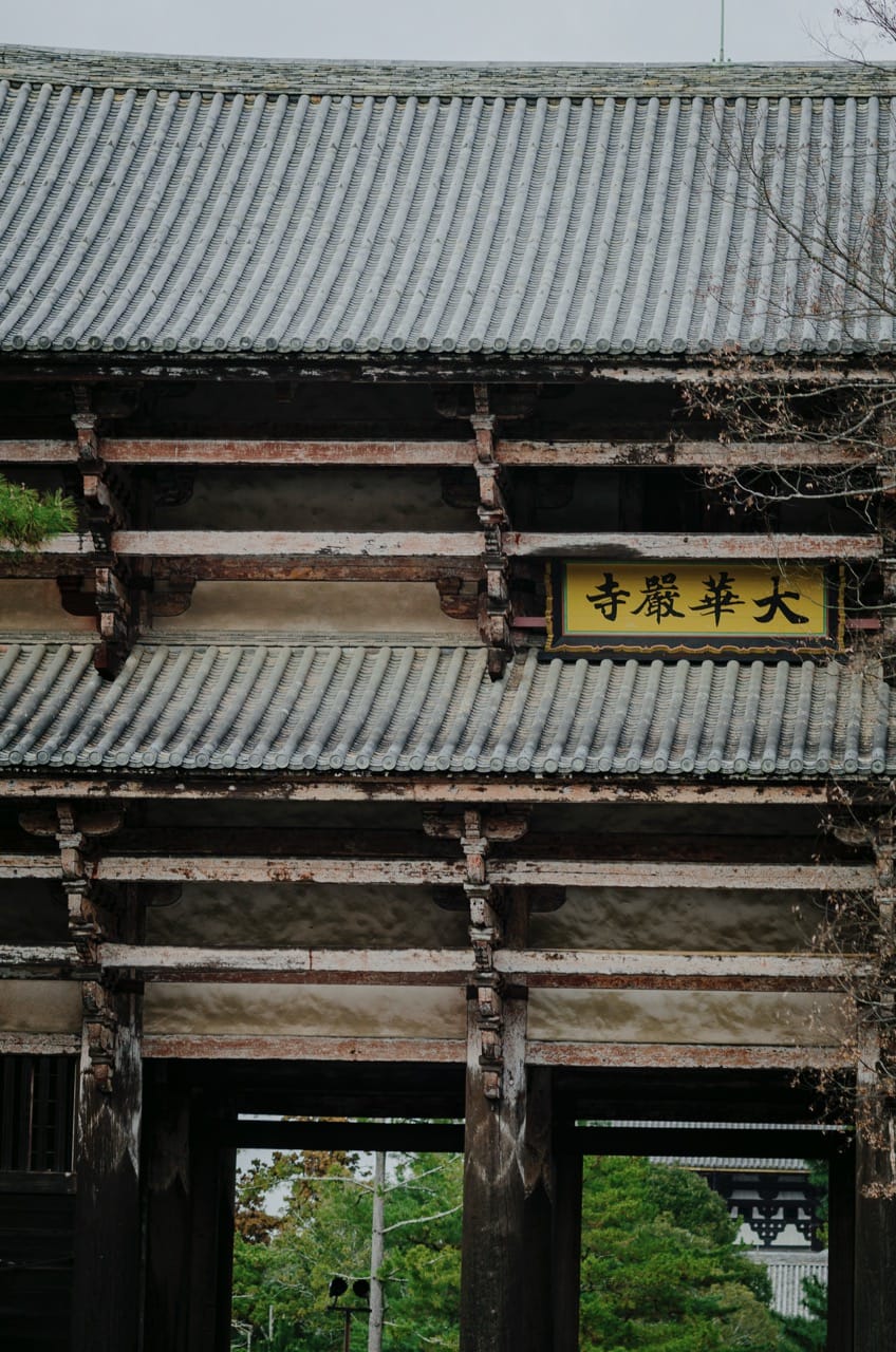 Фото 33 из альбома Nara 2024