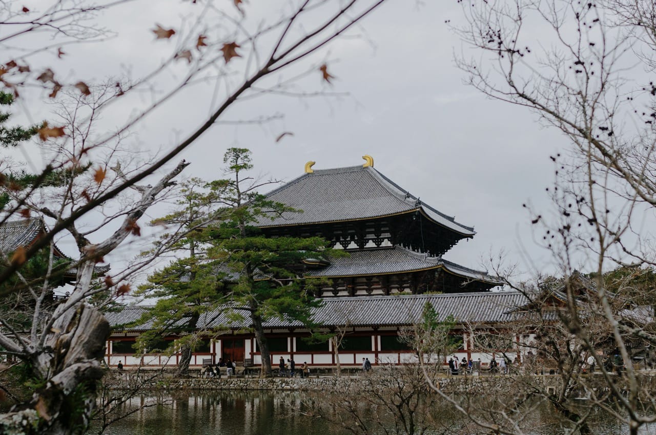 Фото 35 из альбома Nara 2024