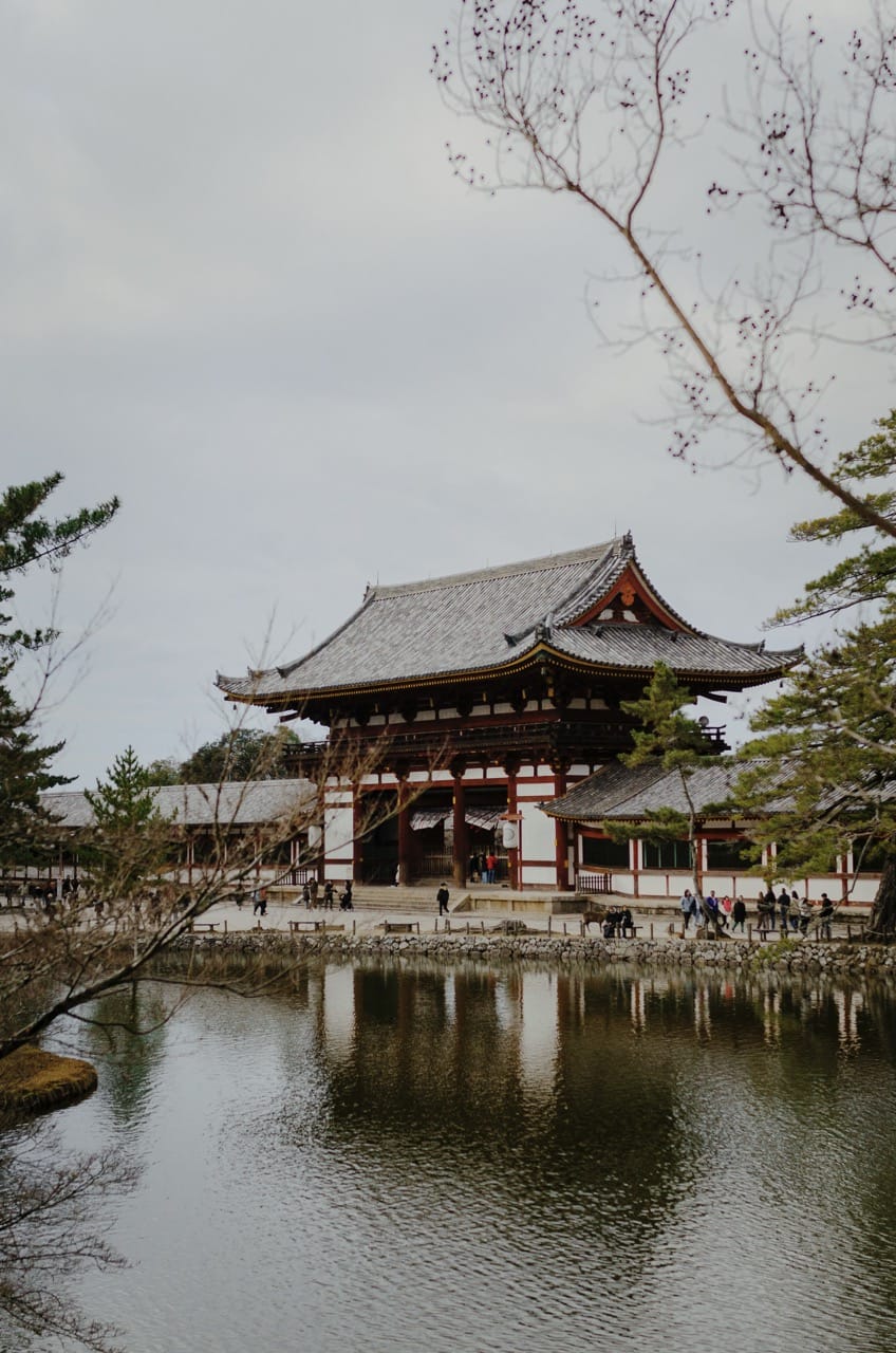 Фото 36 из альбома Nara 2024