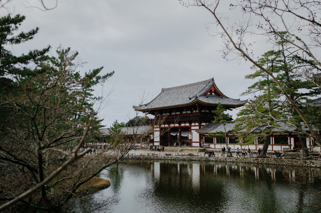 Фото 37 из альбома Nara 2024