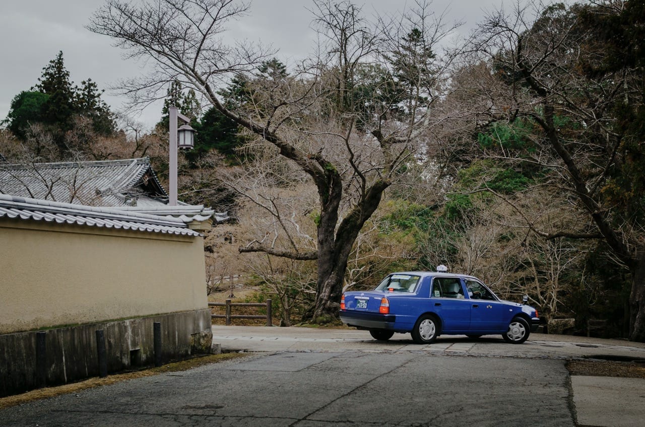 Фото 39 из альбома Nara 2024
