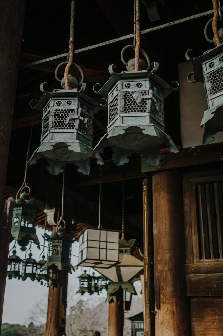 Фото 43 из альбома Nara 2024