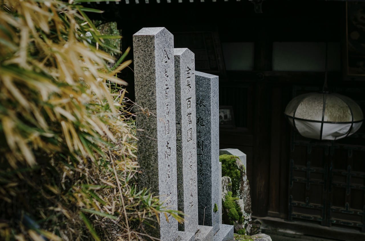 Фото 45 из альбома Nara 2024