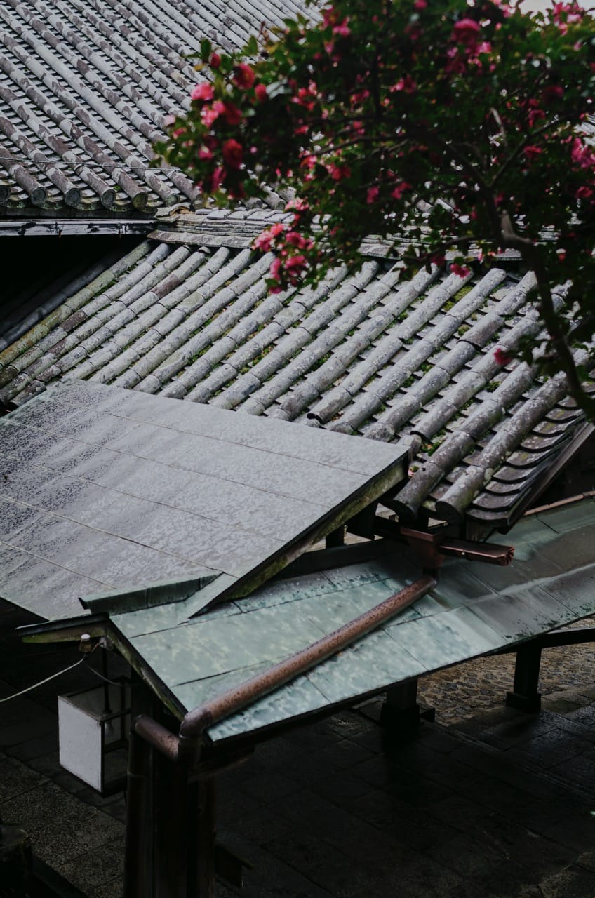 Фото 46 из альбома Nara 2024