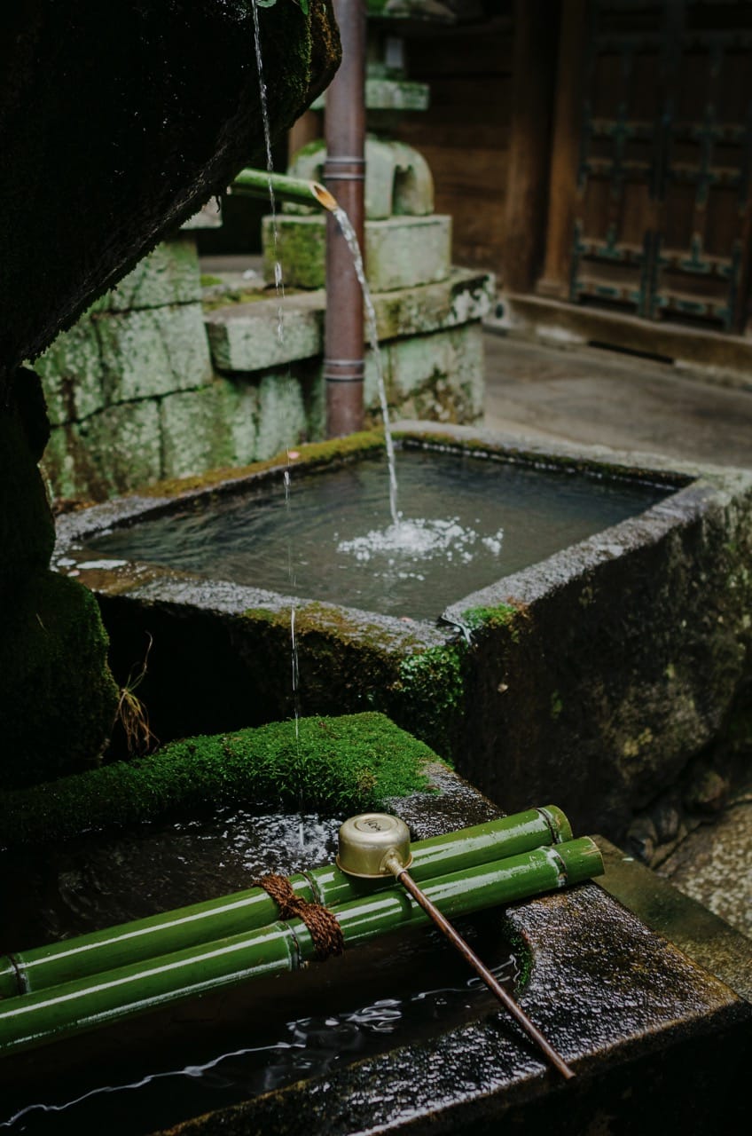 Фото 48 из альбома Nara 2024