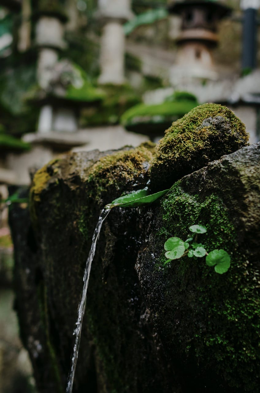 Фото 51 из альбома Nara 2024