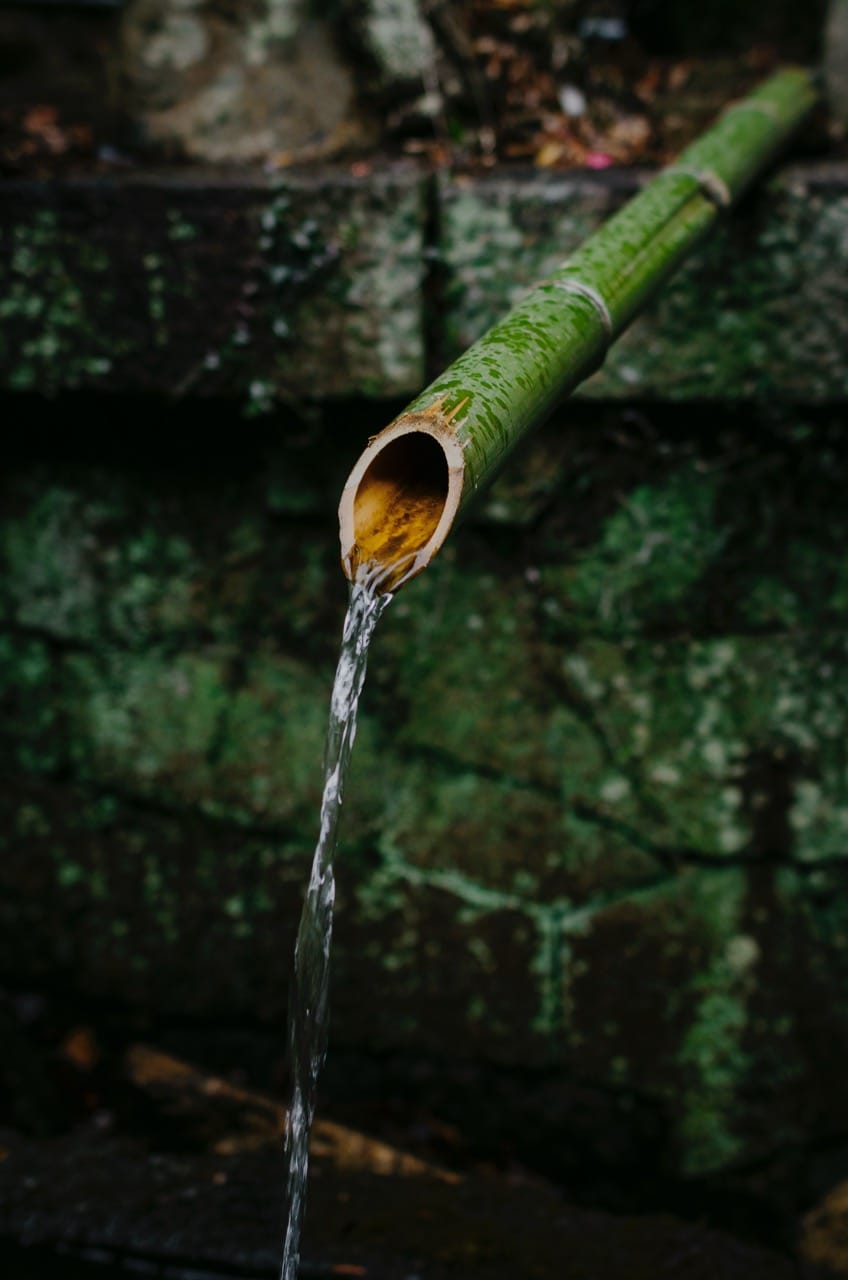 Фото 52 из альбома Nara 2024