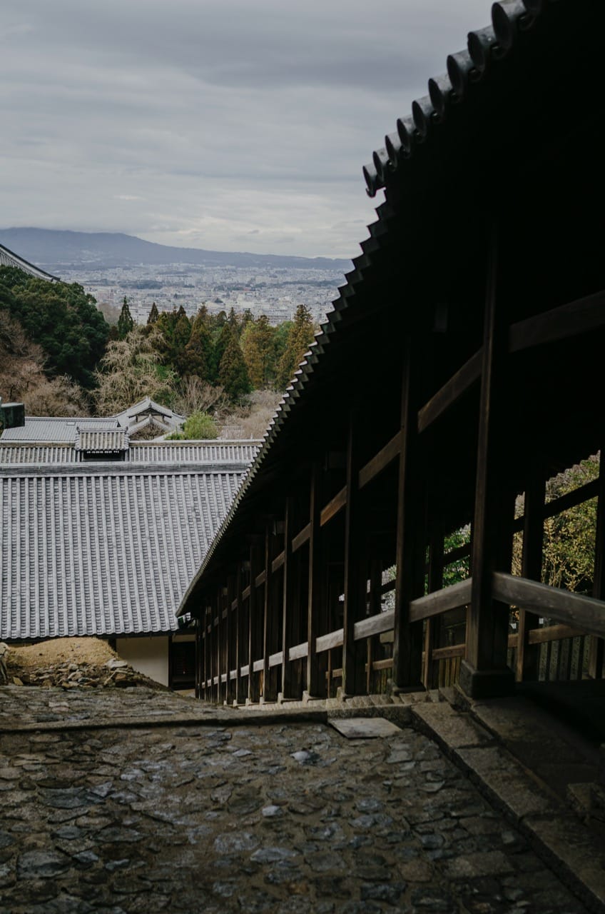 Фото 54 из альбома Nara 2024