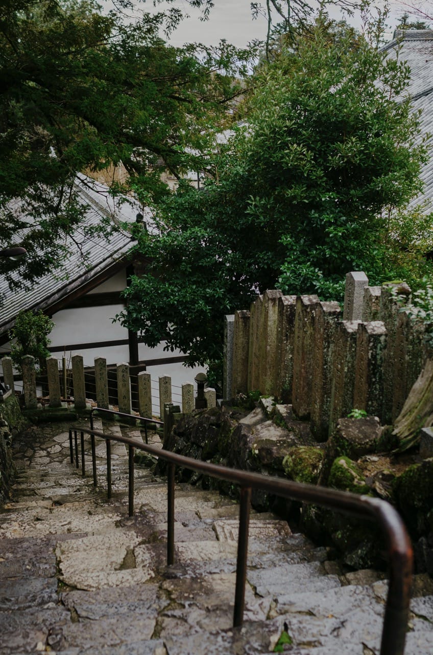 Фото 56 из альбома Nara 2024