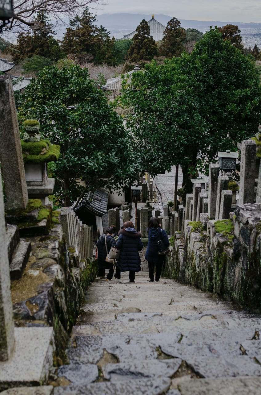 Фото 57 из альбома Nara 2024