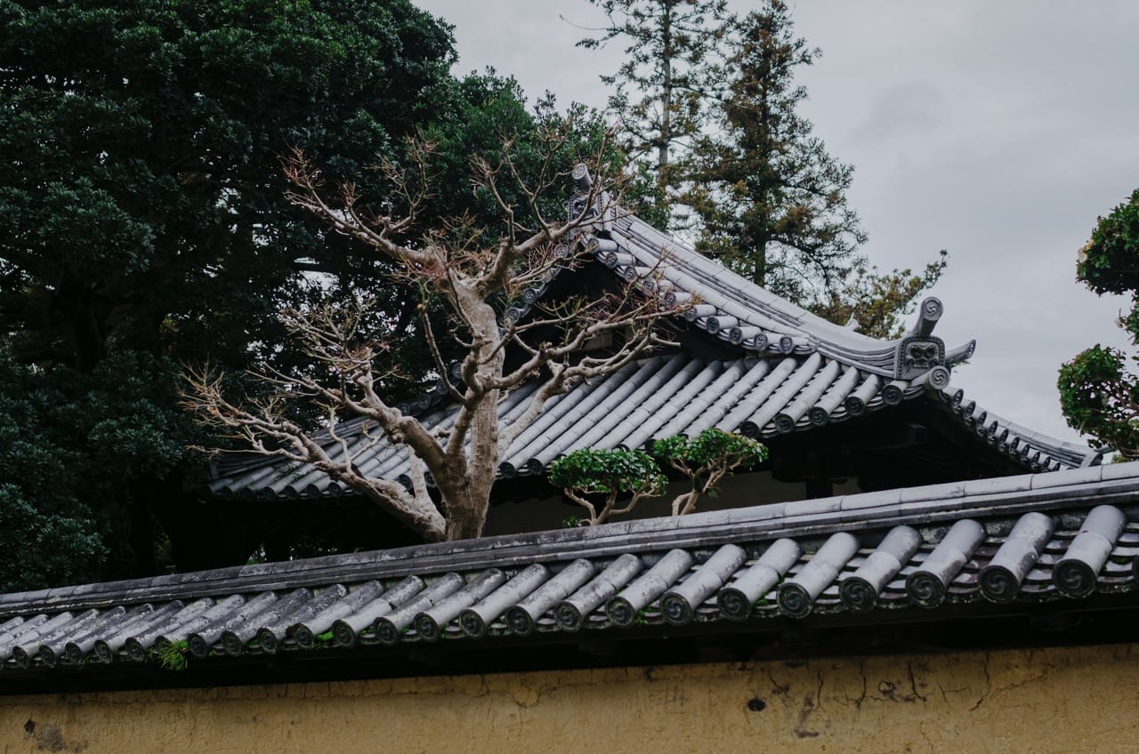 Фото 58 из альбома Nara 2024