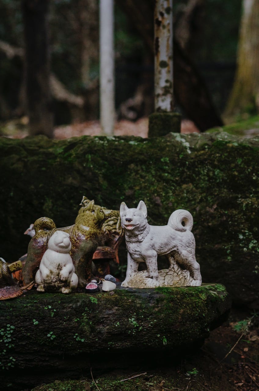 Фото 66 из альбома Nara 2024