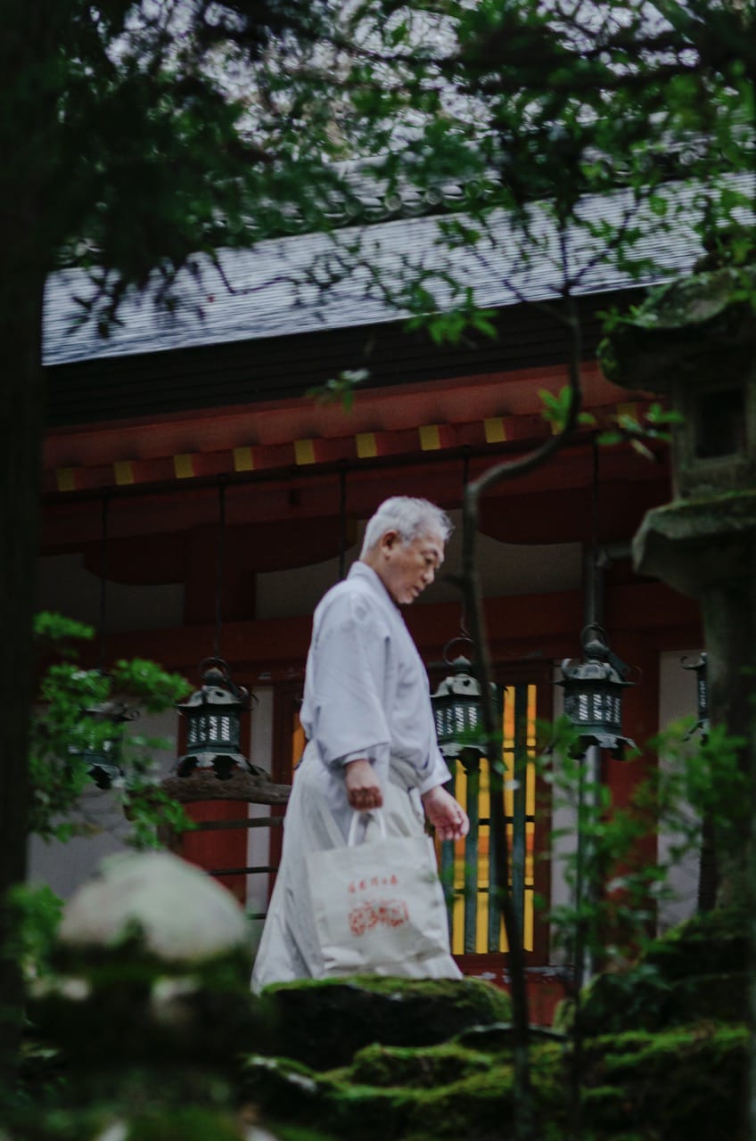 Фото 67 из альбома Nara 2024