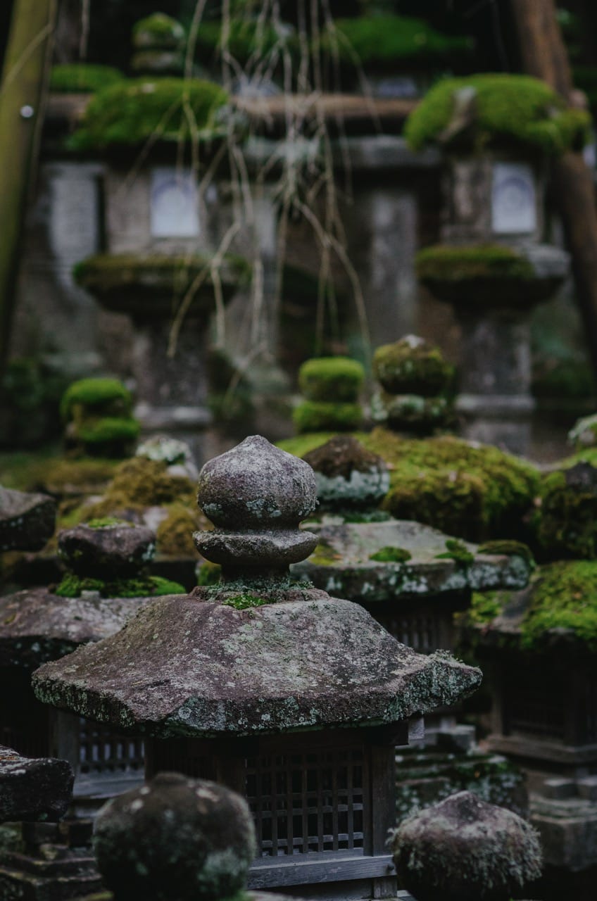 Фото 68 из альбома Nara 2024