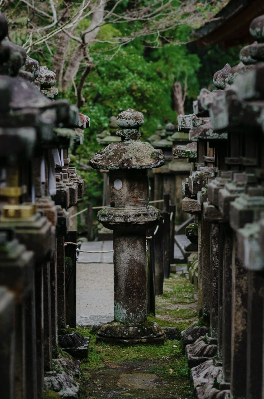 Фото 69 из альбома Nara 2024