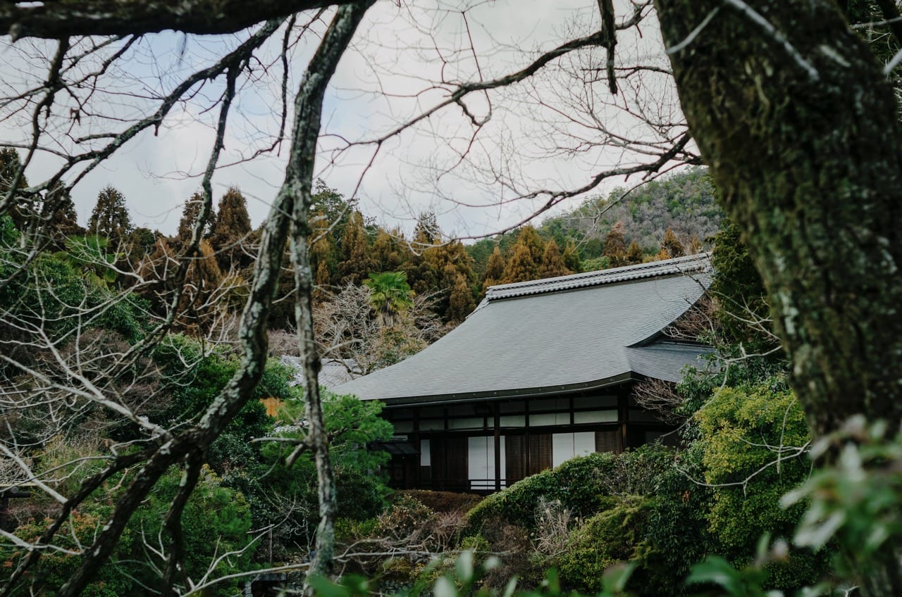 Фото 70 из альбома Nara 2024