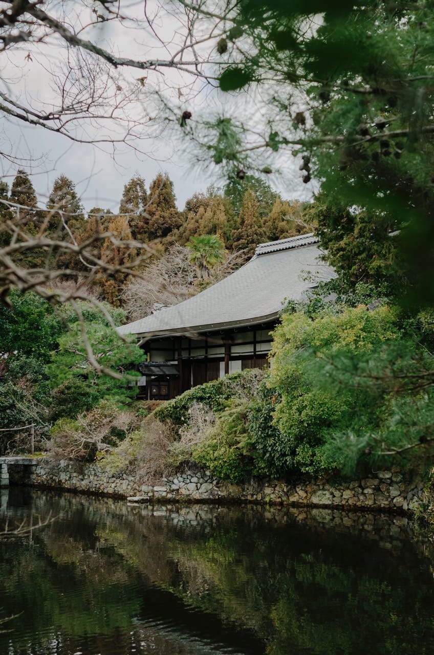 Фото 71 из альбома Nara 2024