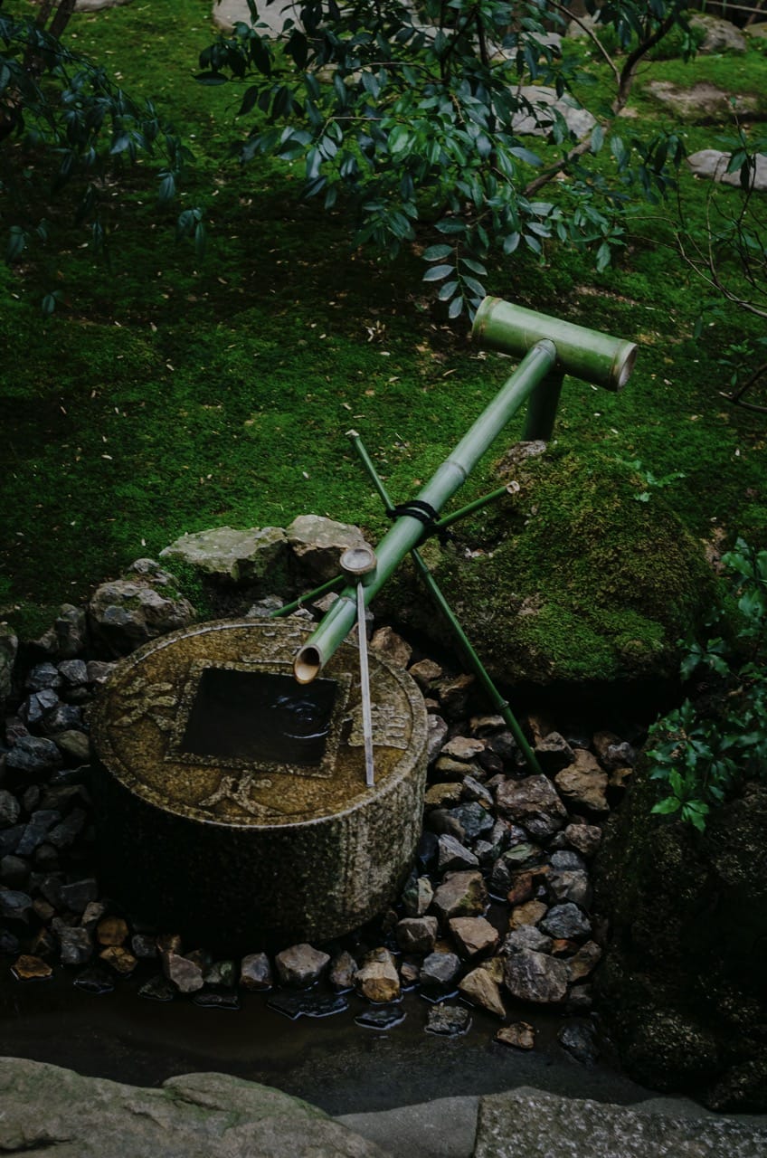 Фото 72 из альбома Nara 2024