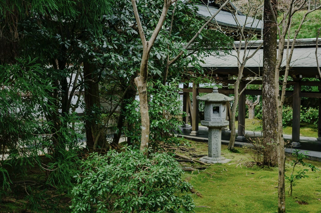 Фото 85 из альбома Nara 2024