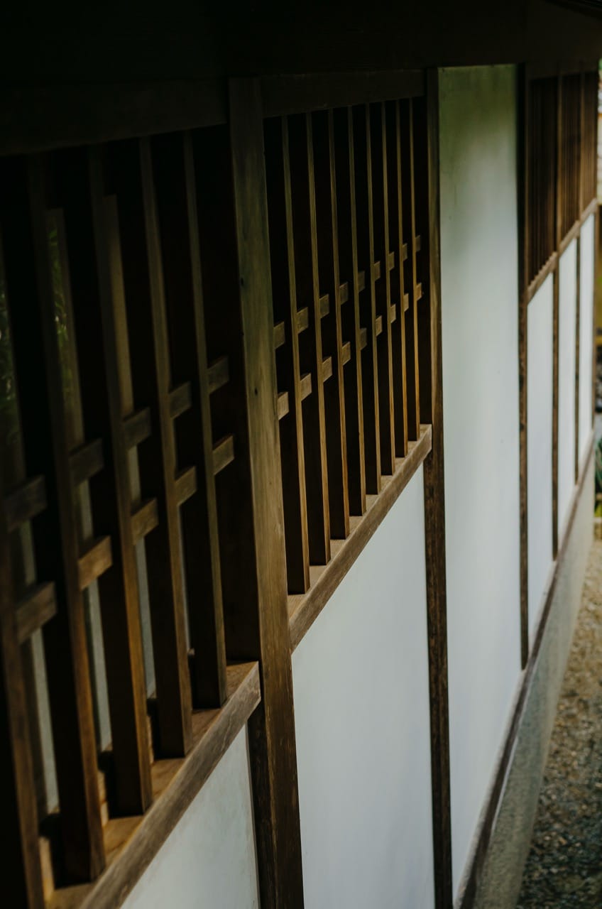 Фото 93 из альбома Nara 2024