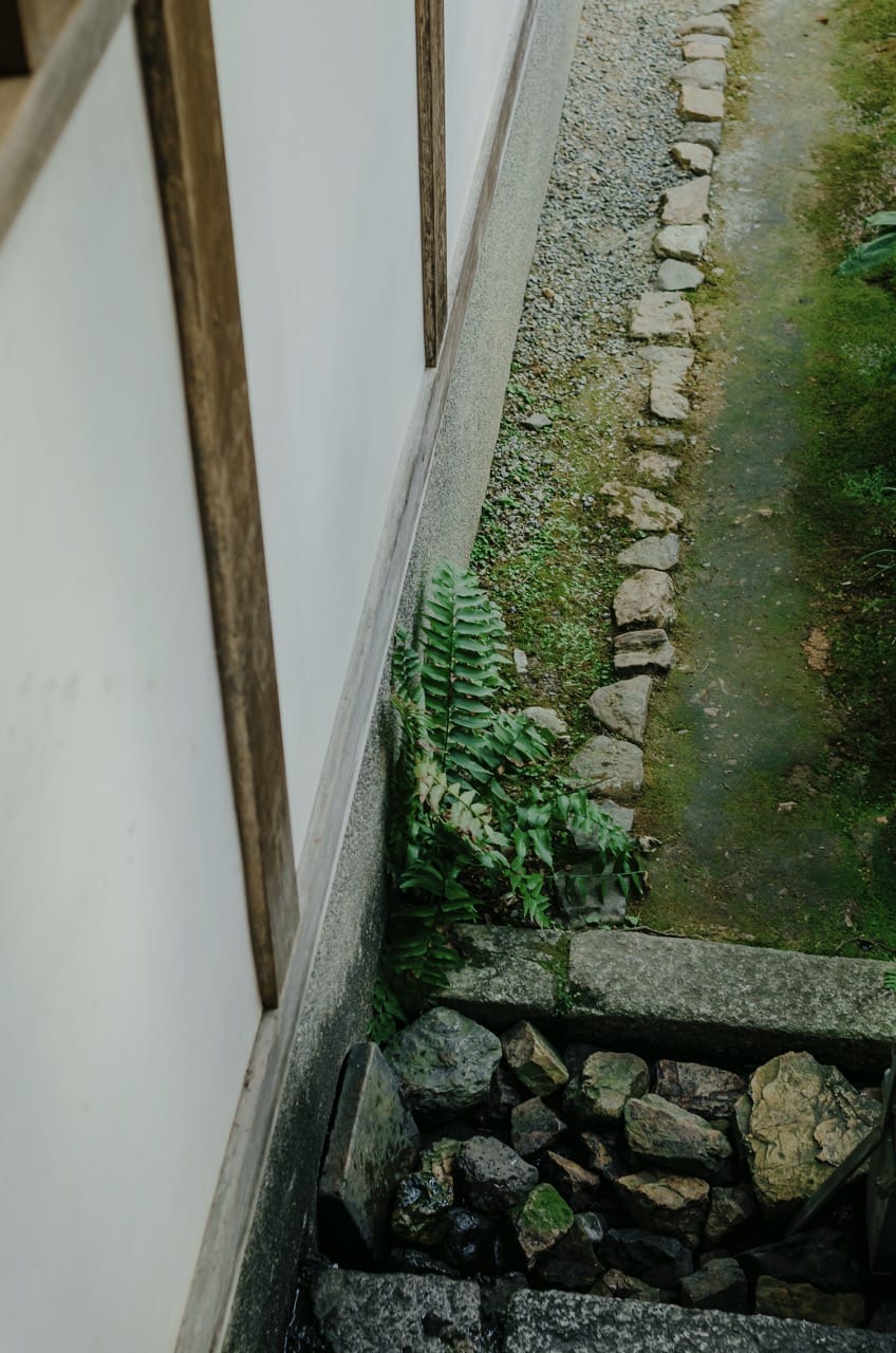 Фото 94 из альбома Nara 2024