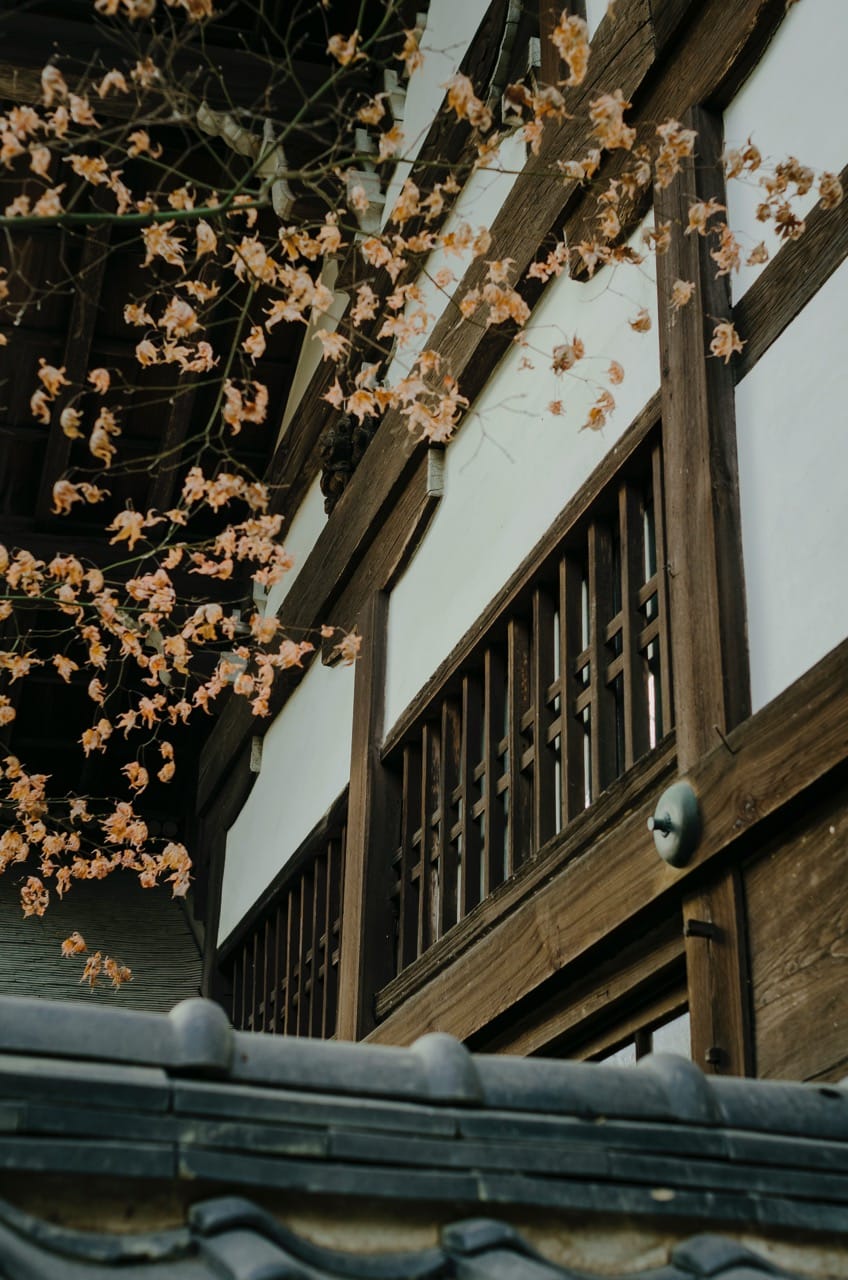 Фото 96 из альбома Nara 2024