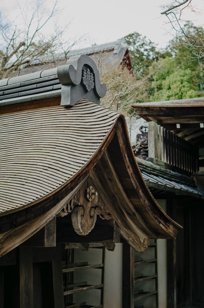 Фото 99 из альбома Nara 2024