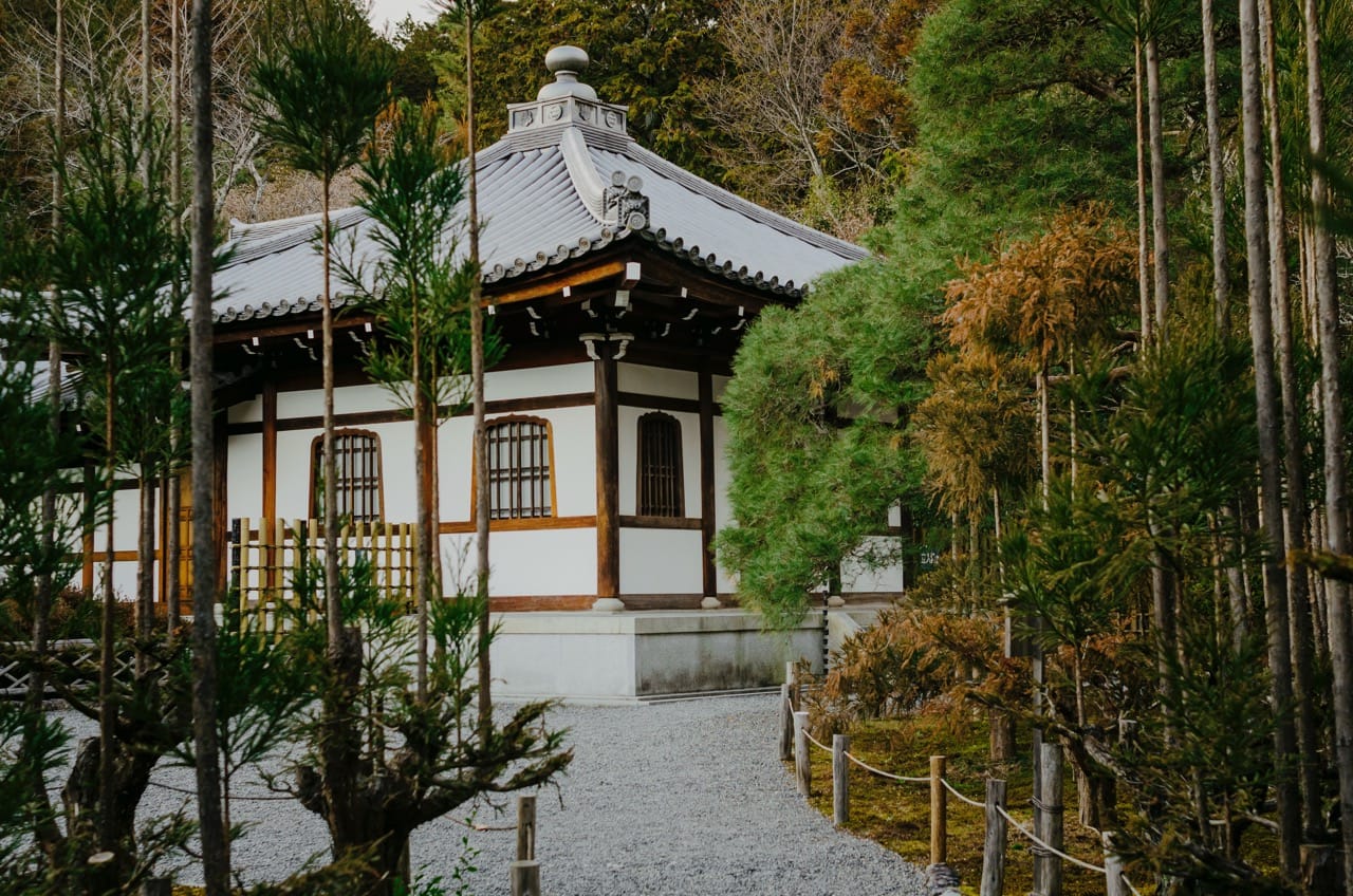 Фото 101 из альбома Nara 2024