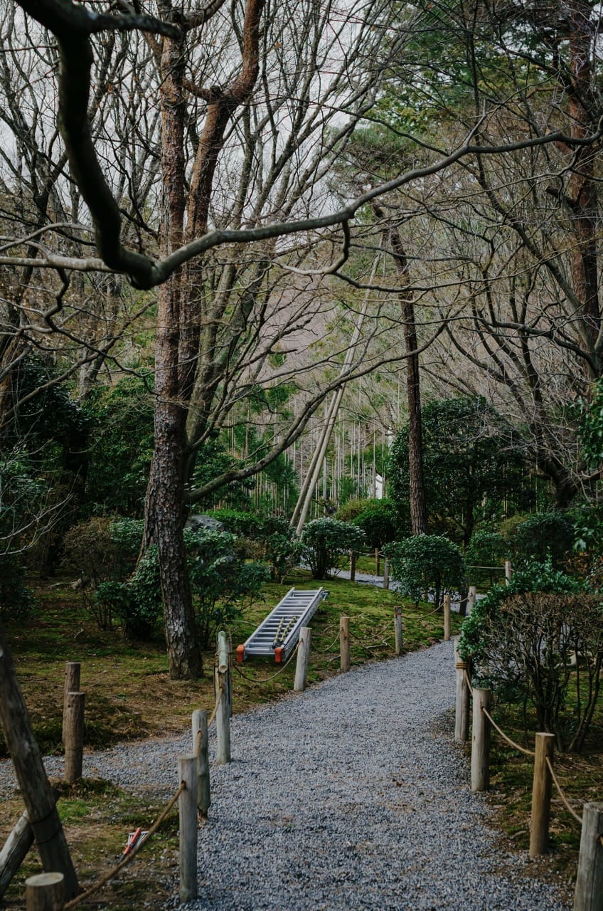 Фото 105 из альбома Nara 2024
