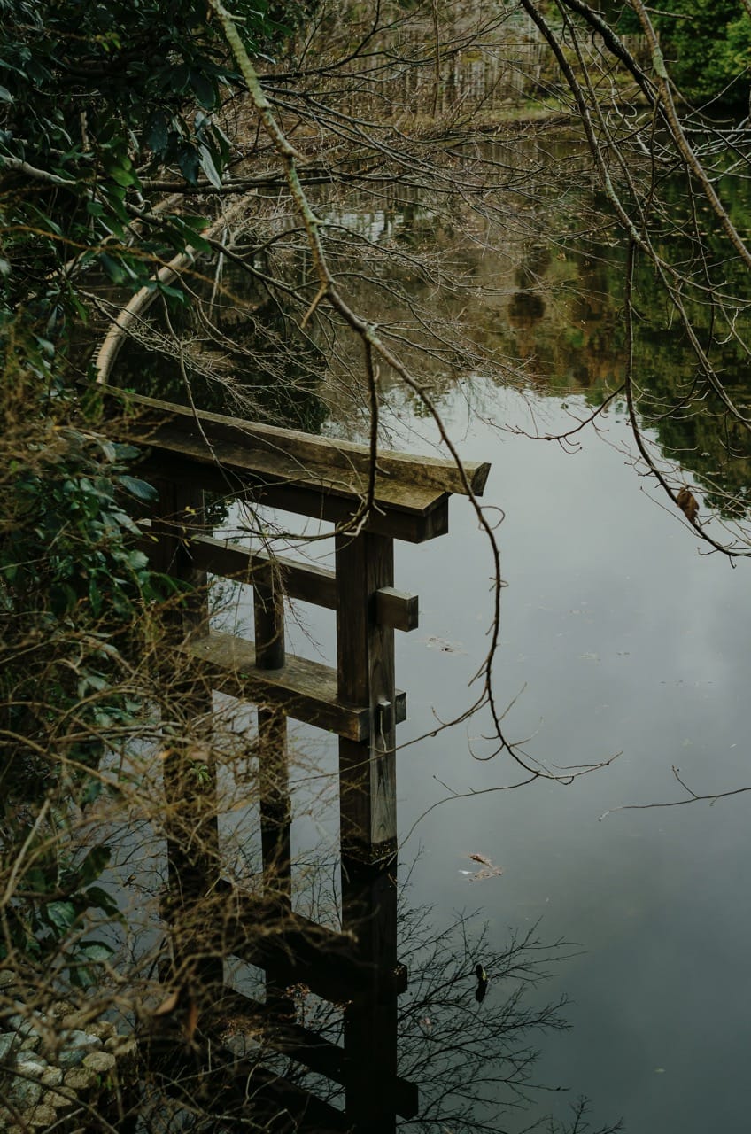 Фото 108 из альбома Nara 2024