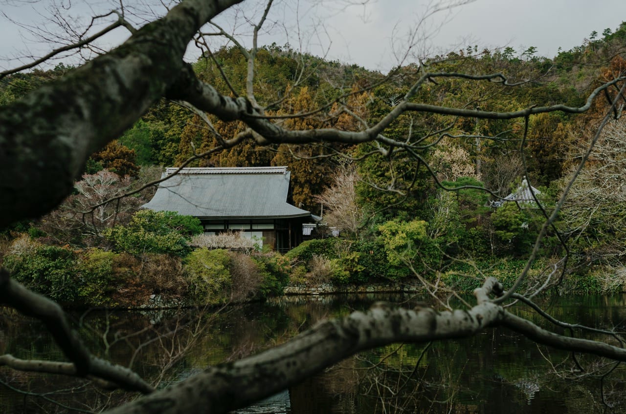 Фото 109 из альбома Nara 2024