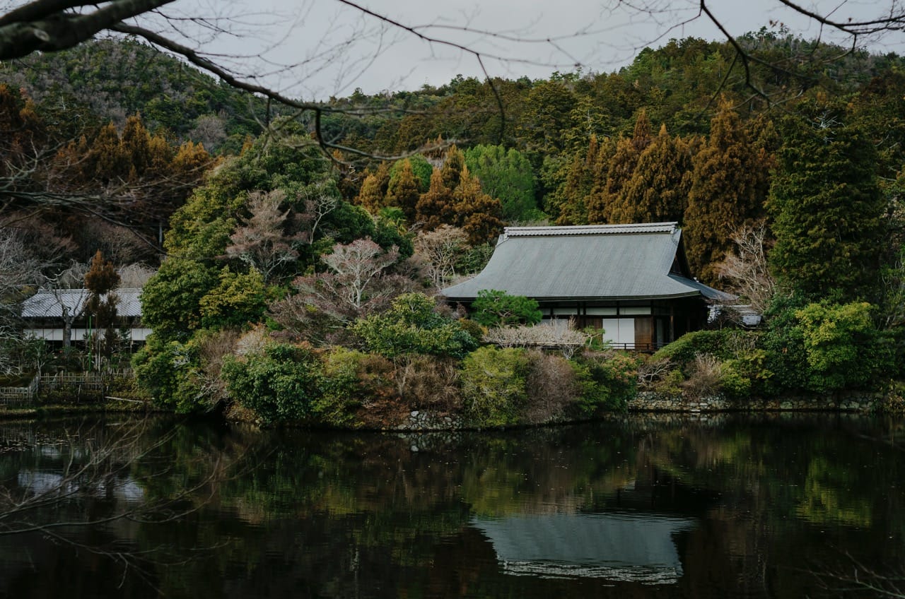 Фото 110 из альбома Nara 2024