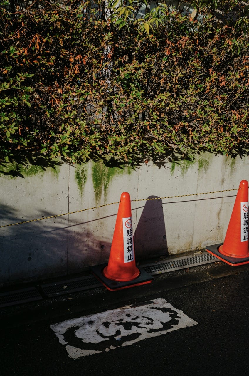 Фото 36 из альбома Osaka 2024