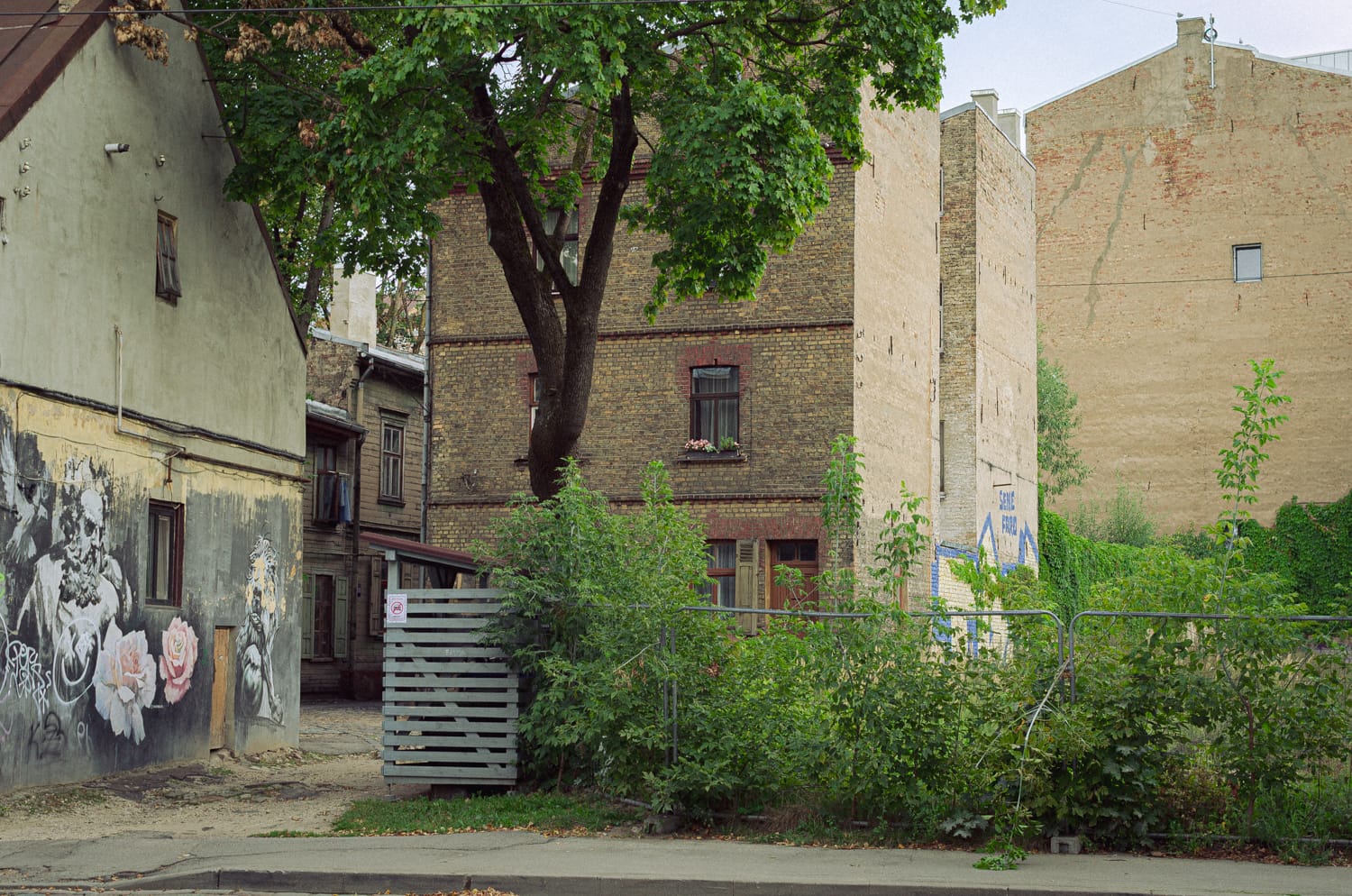 Фото 5 из альбома Riga 2024