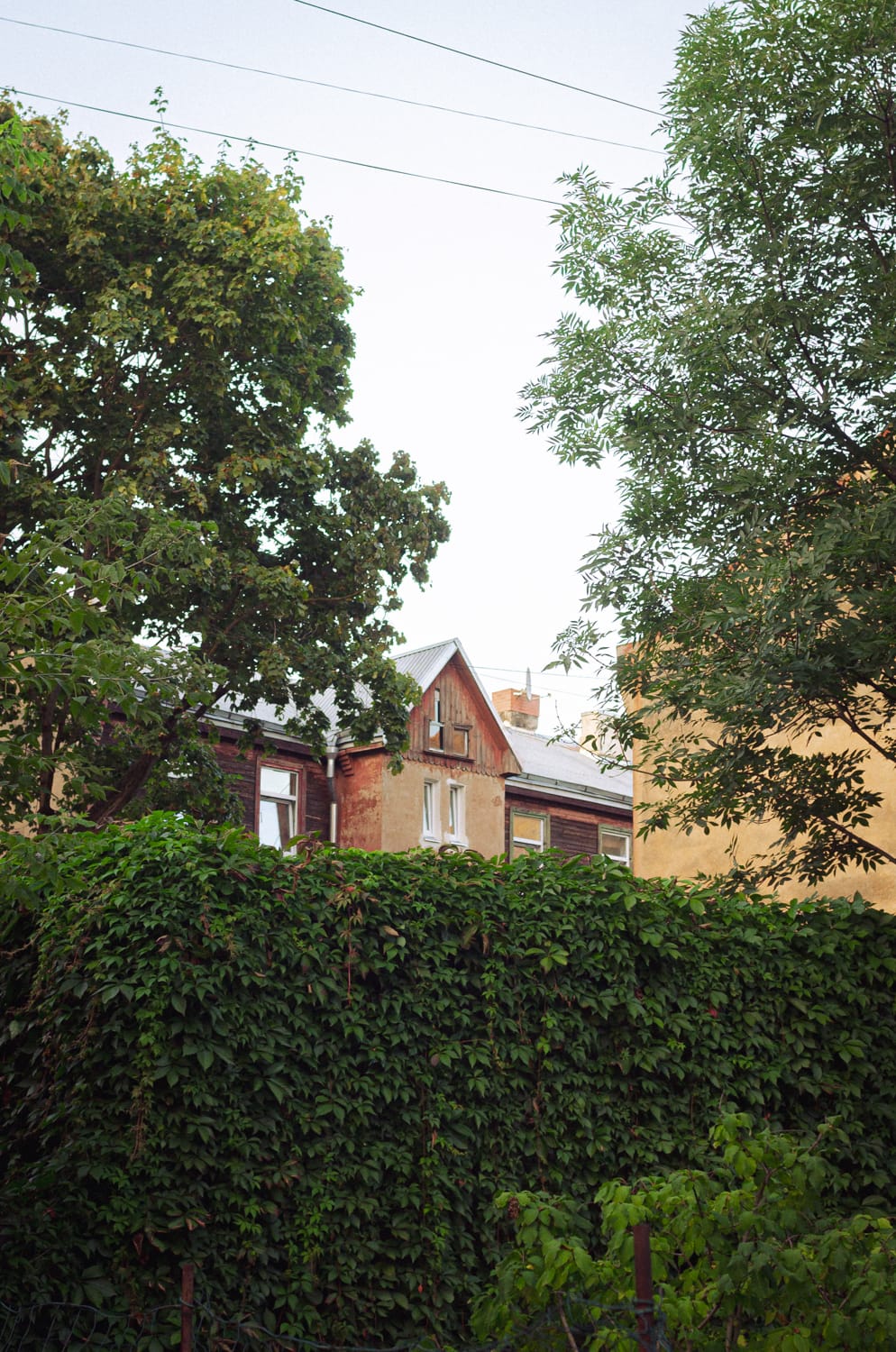 Фото 37 из альбома Riga 2024