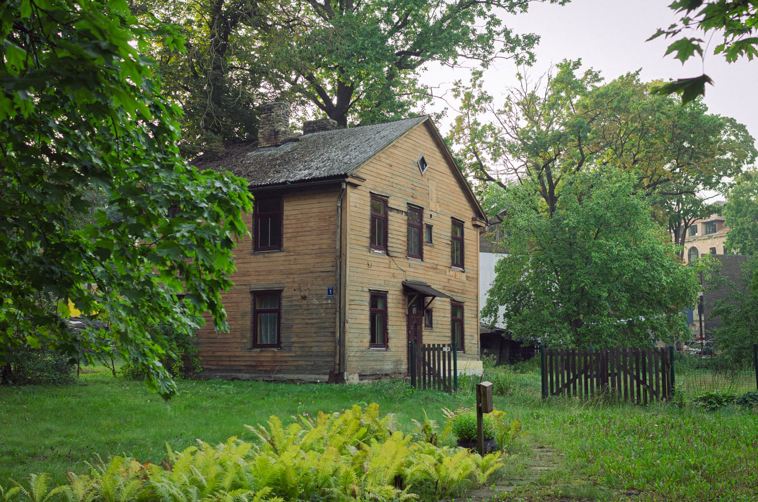 Фото 55 из альбома Riga 2024