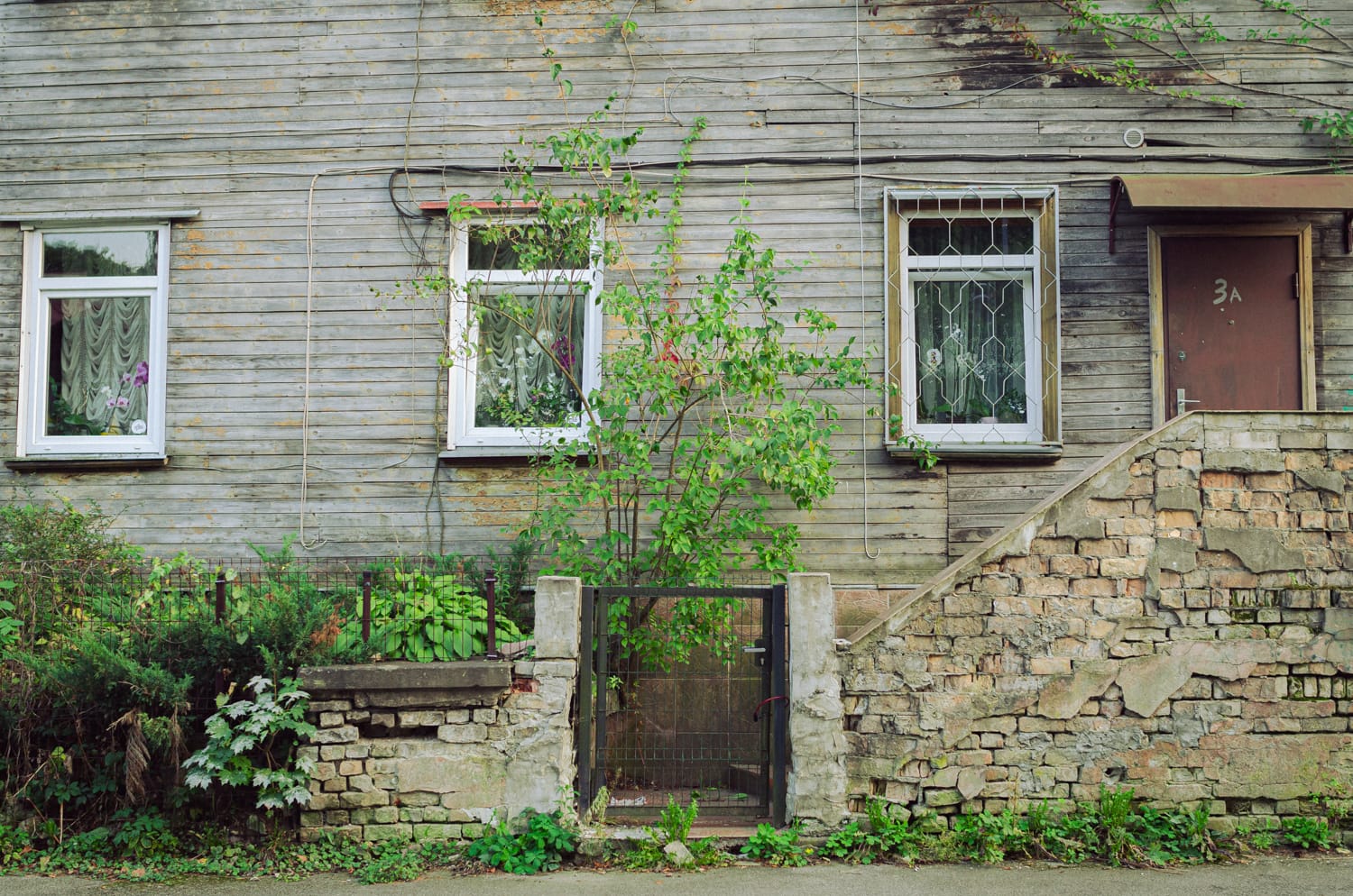 Фото 62 из альбома Riga 2024