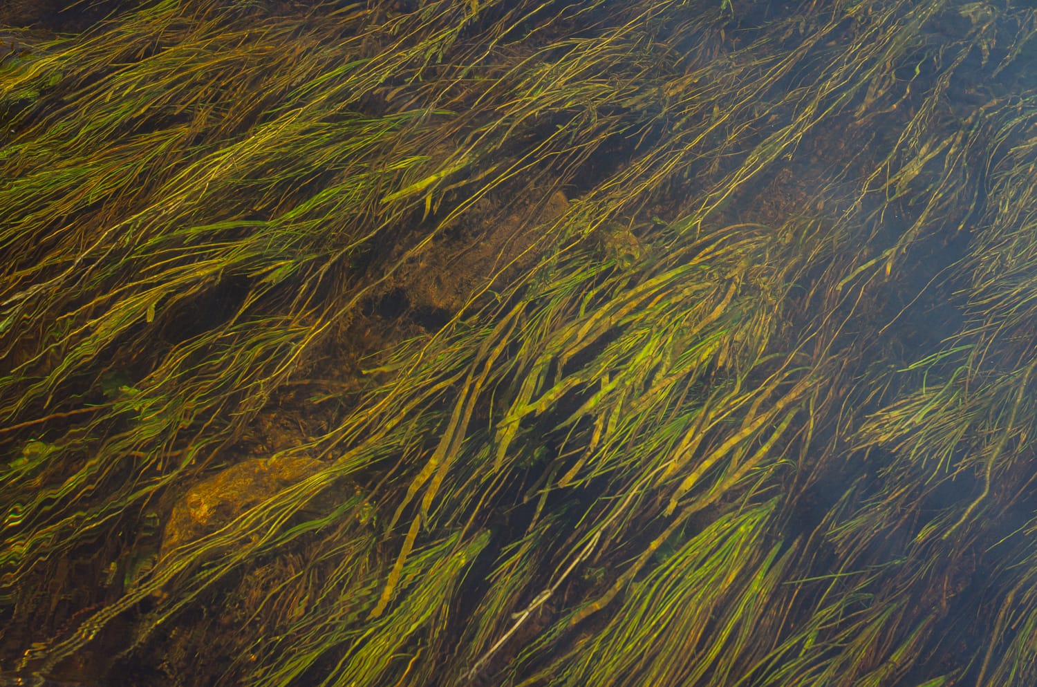 Фото 69 из альбома Riga 2024