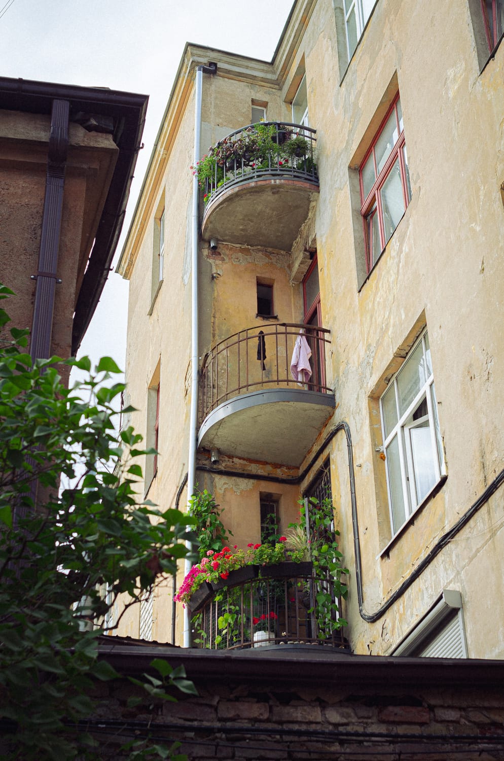 Фото 89 из альбома Riga 2024