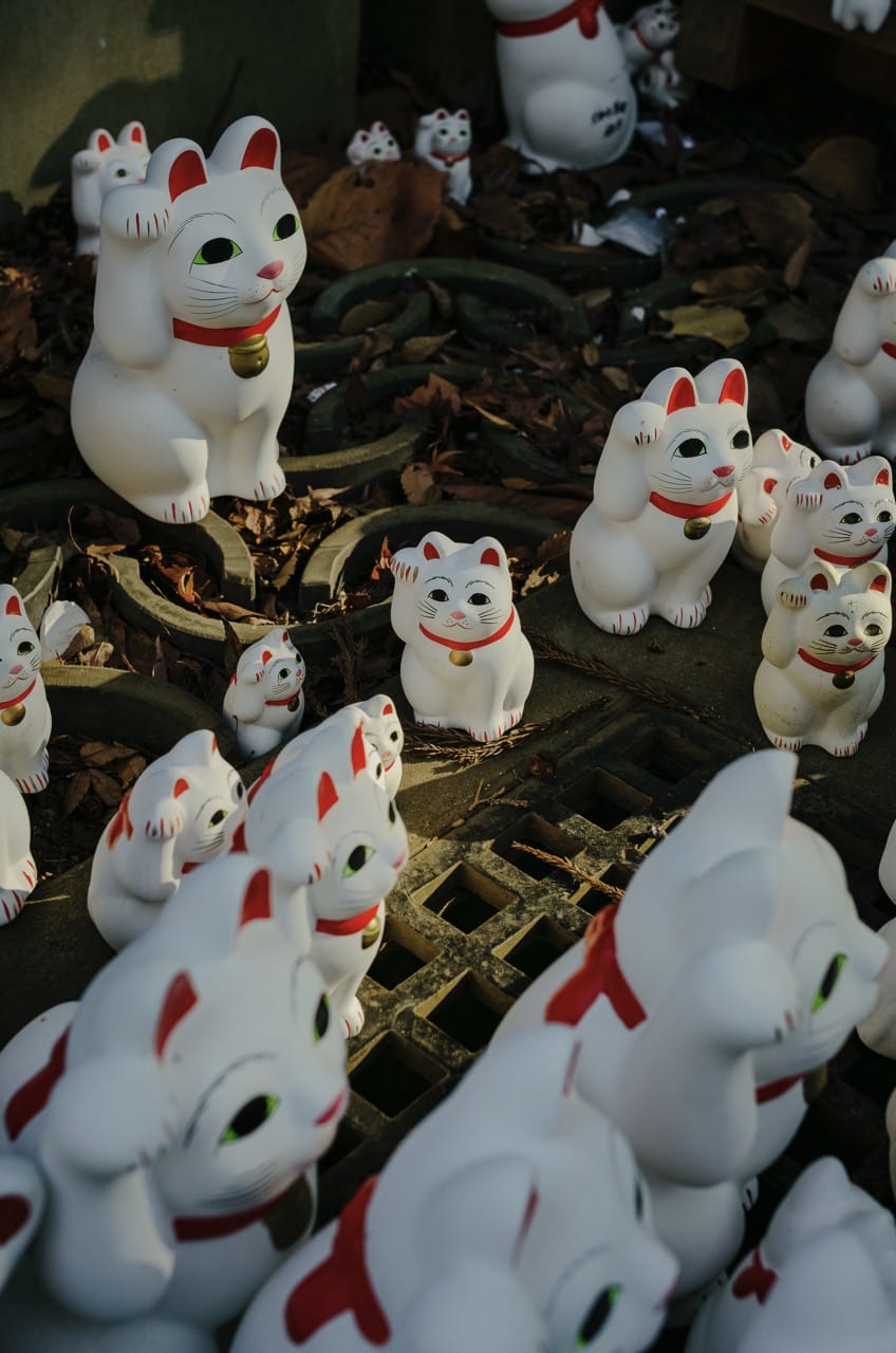 Фото 32 из альбома Tokyo 2024