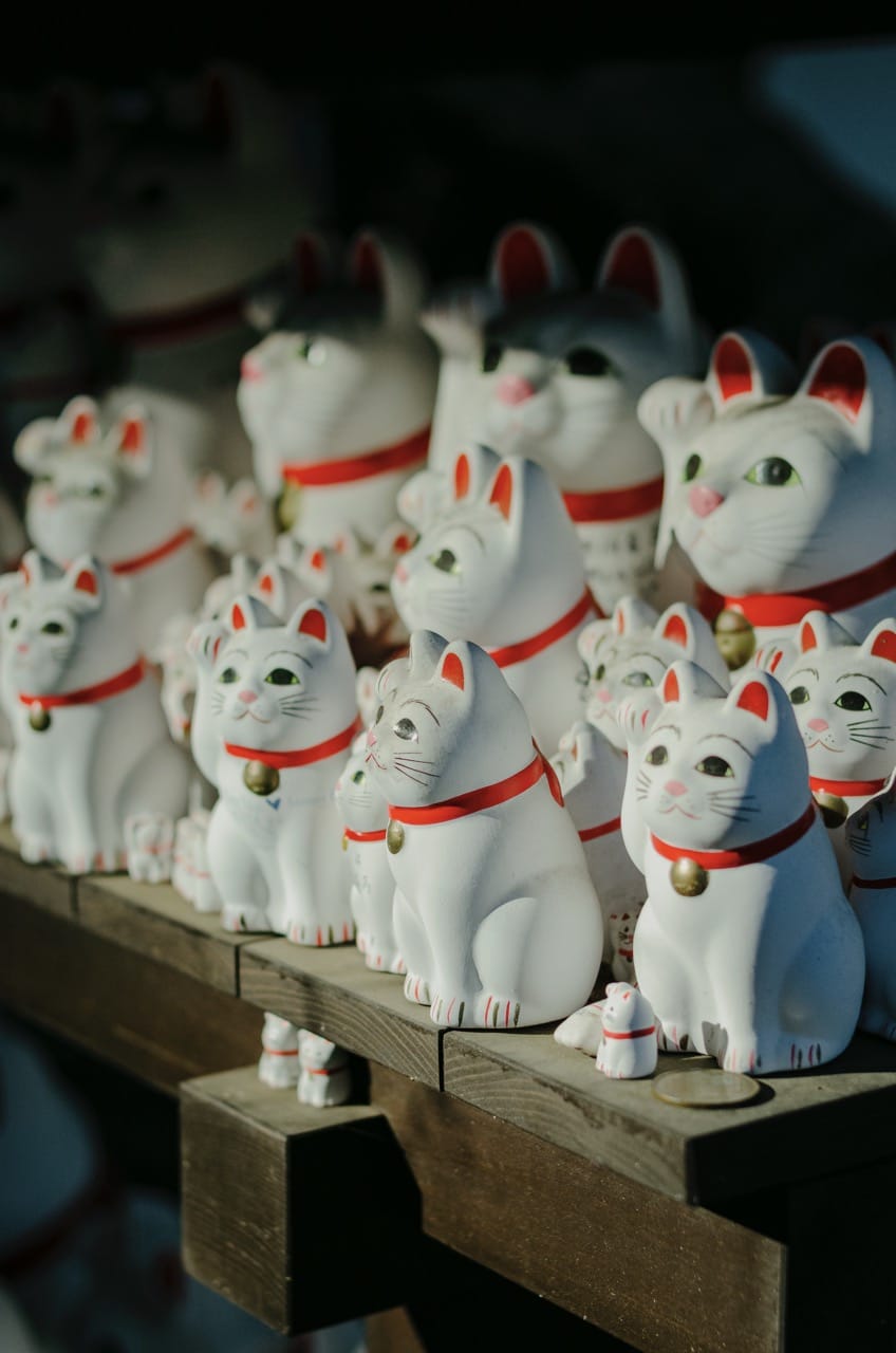 Фото 40 из альбома Tokyo 2024