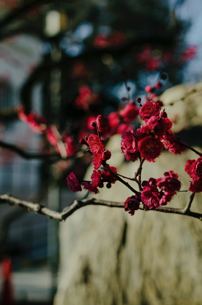 Фото 49 из альбома Tokyo 2024