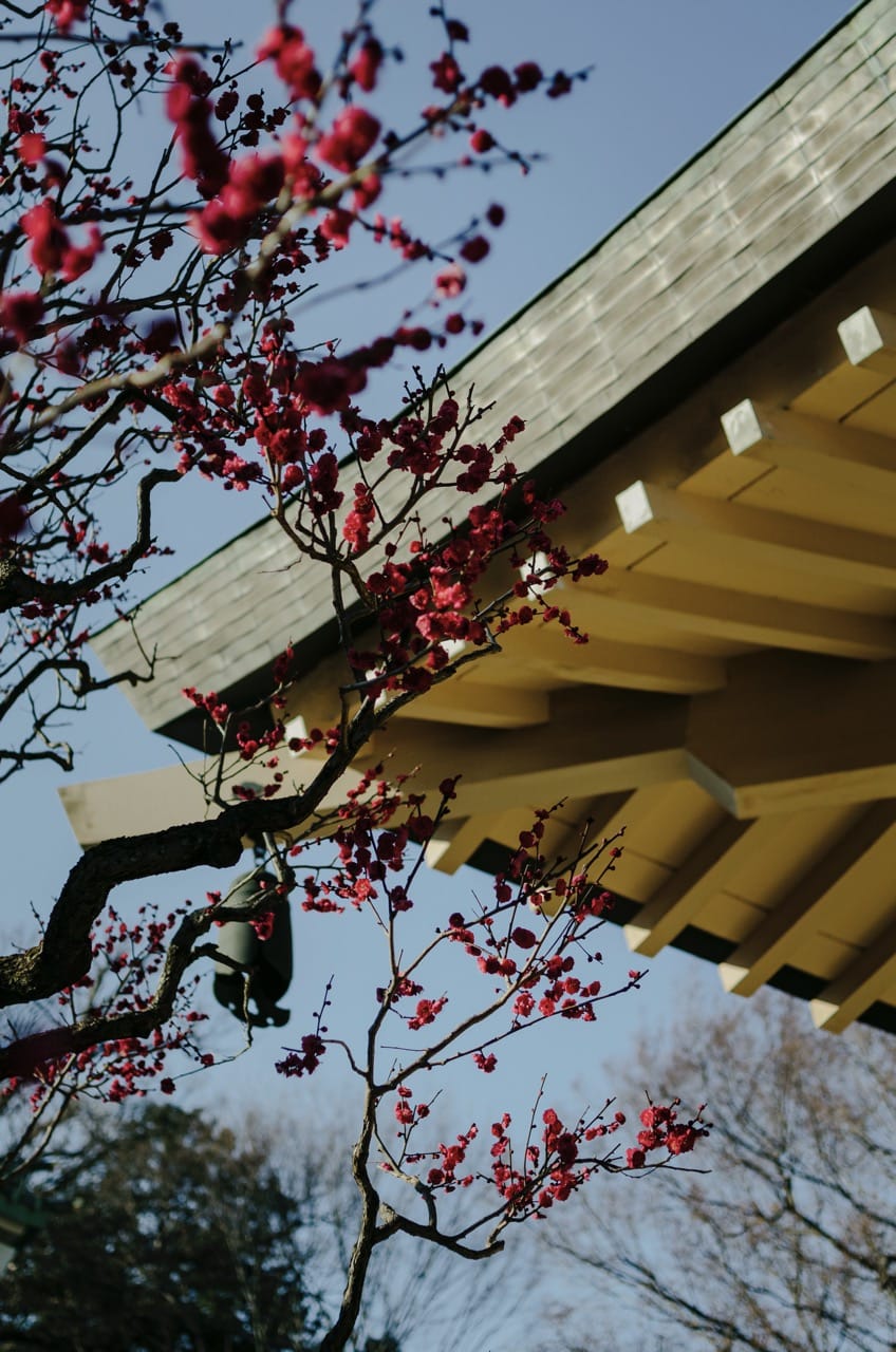 Фото 50 из альбома Tokyo 2024