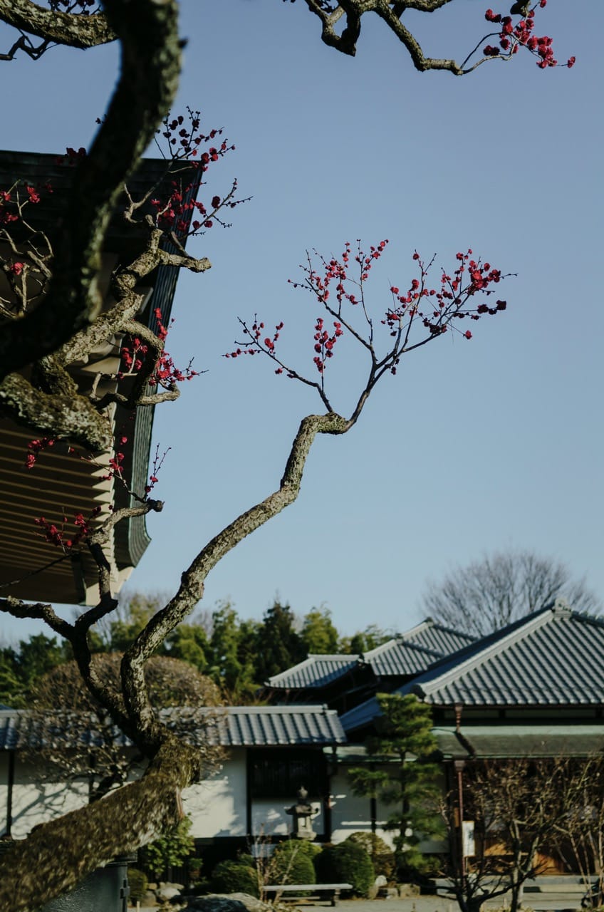 Фото 54 из альбома Tokyo 2024