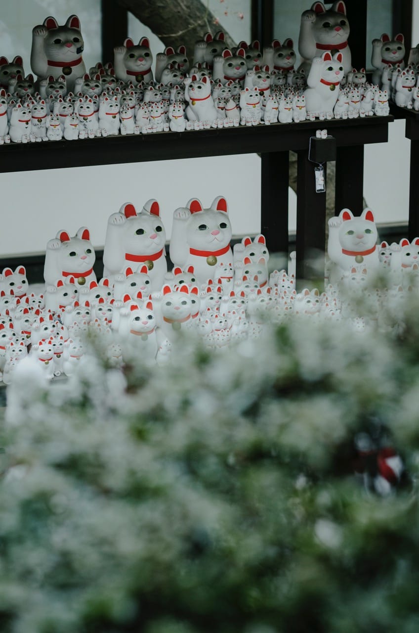 Фото 61 из альбома Tokyo 2024