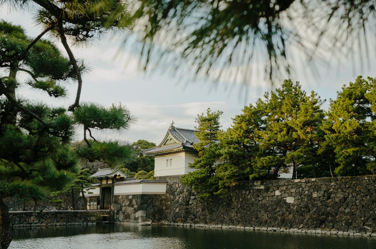 Фото 139 из альбома Tokyo 2024