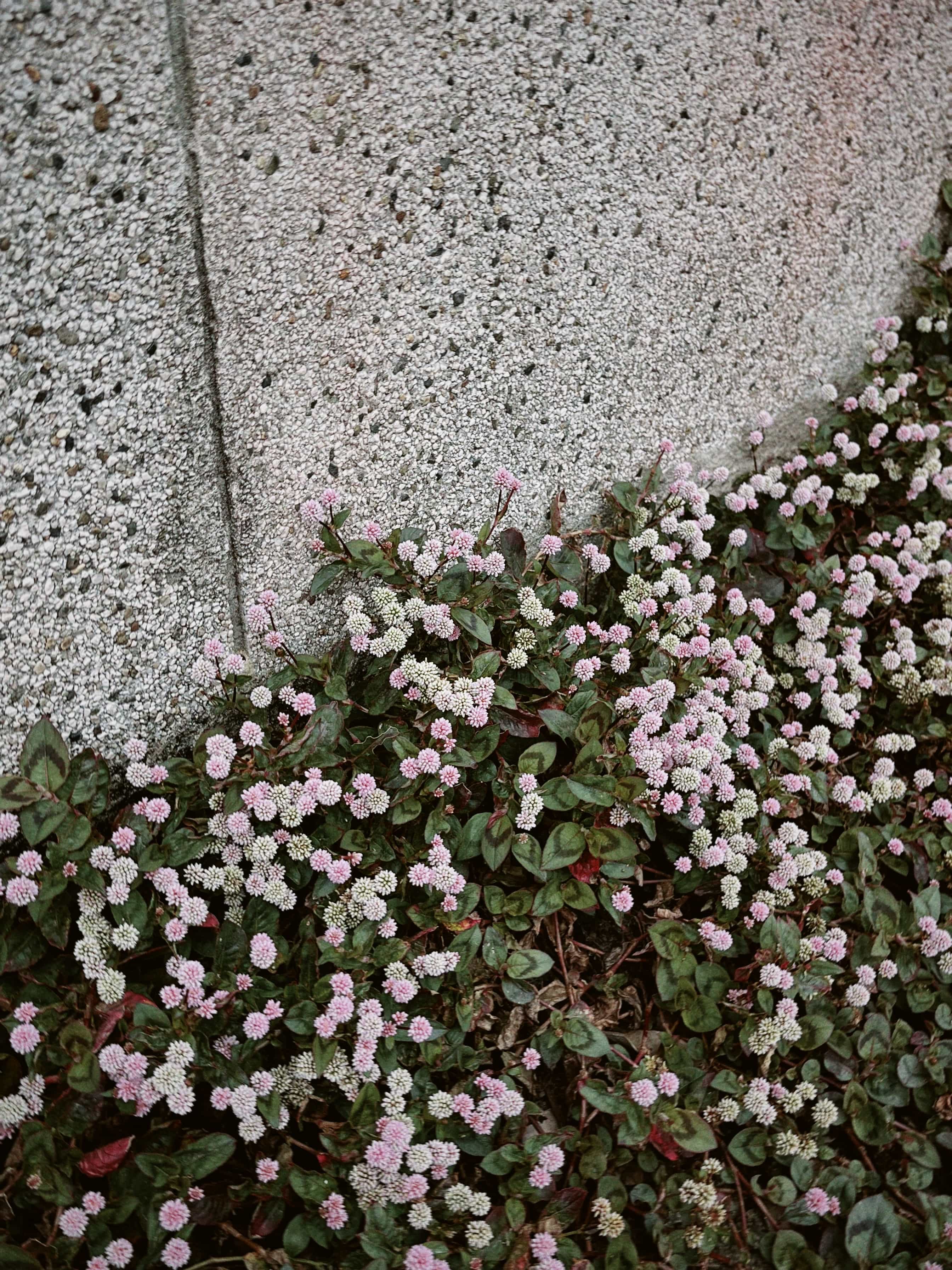 Фото 6 из альбома Japan 2025